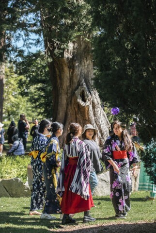 Armidale Autumn Festival