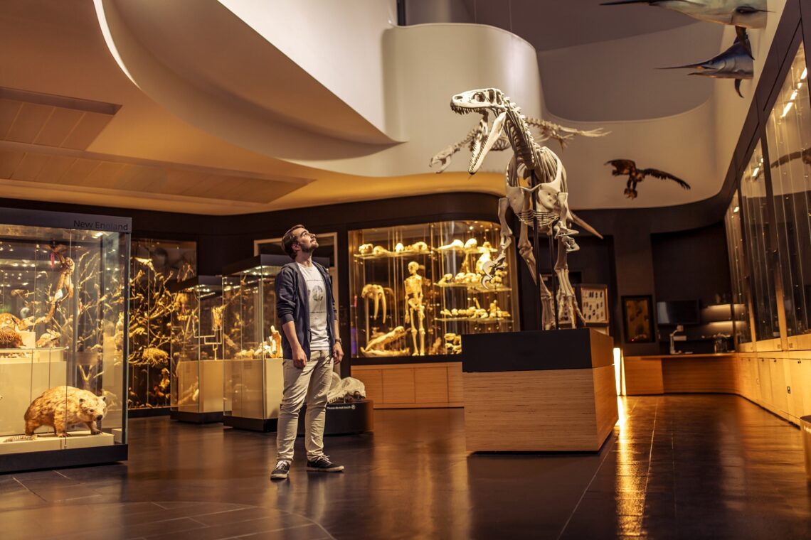 UNE Natural History Museum